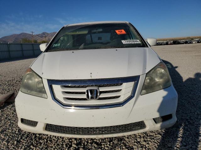 Photo 4 VIN: 5FNRL38499B021161 - HONDA ODYSSEY EX 