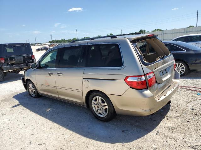 Photo 1 VIN: 5FNRL384X5B017033 - HONDA ODYSSEY EX 