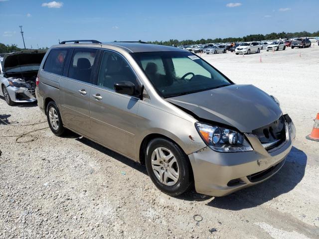 Photo 3 VIN: 5FNRL384X5B017033 - HONDA ODYSSEY EX 