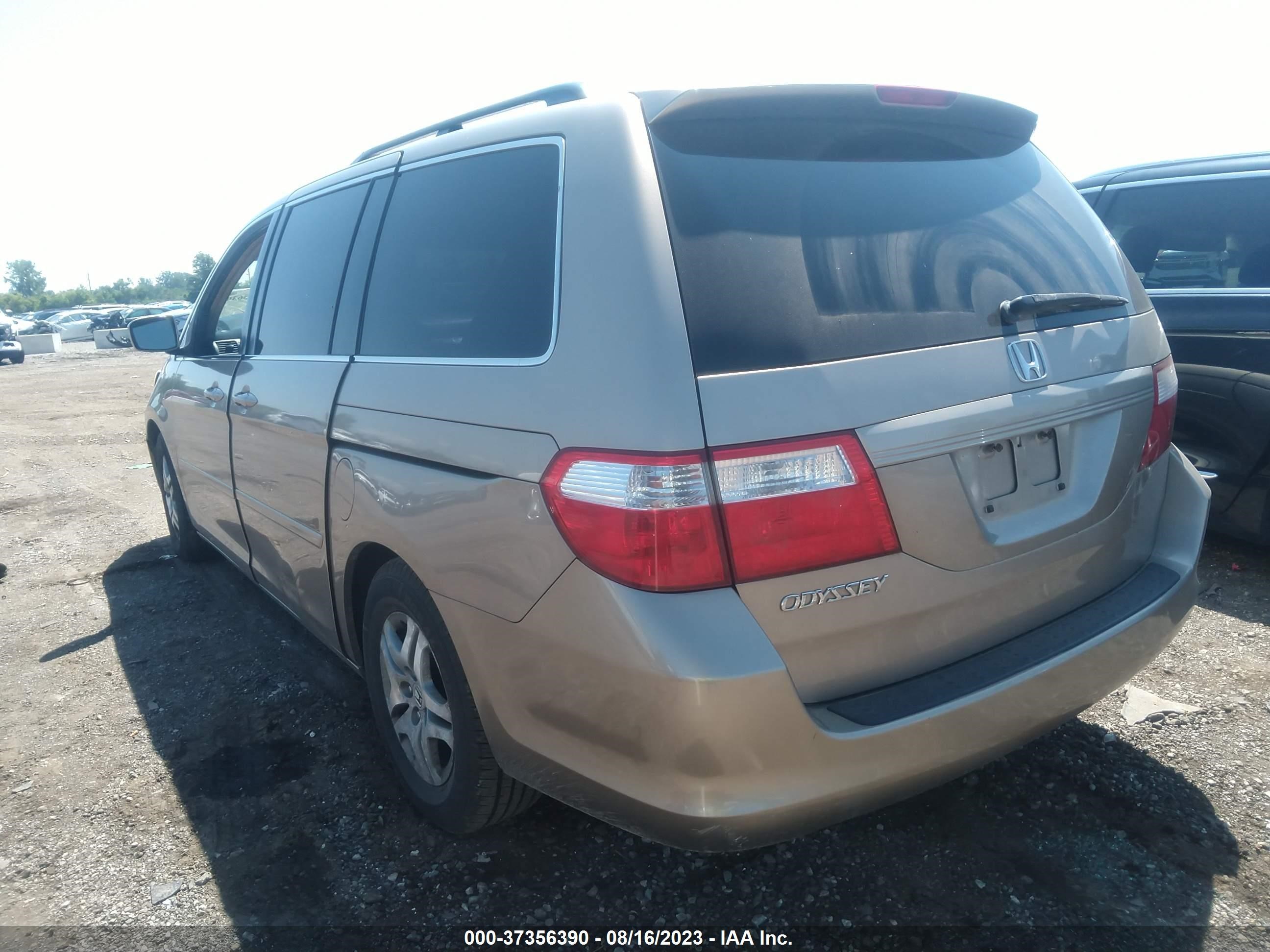 Photo 2 VIN: 5FNRL384X6B036599 - HONDA ODYSSEY 