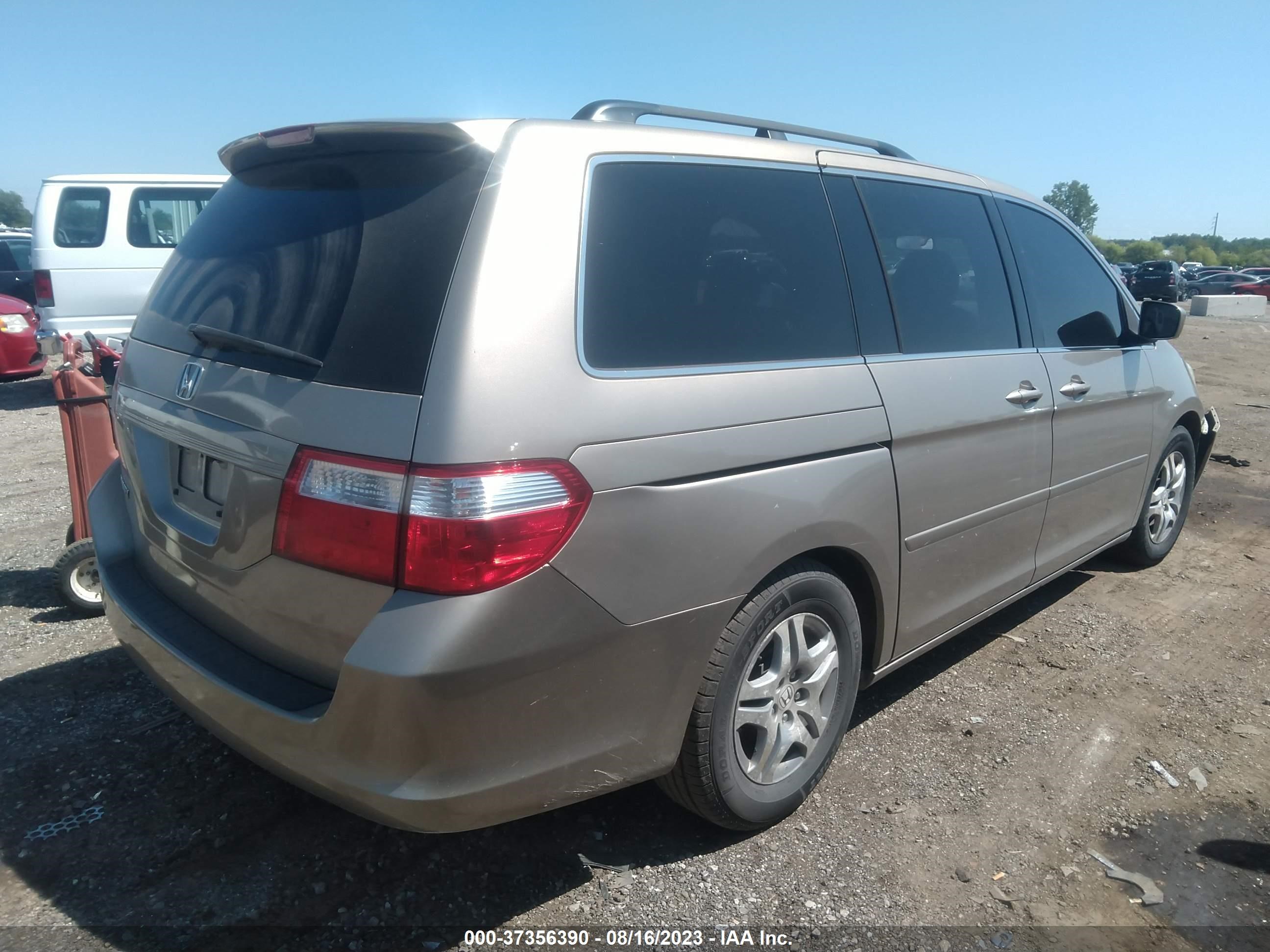 Photo 3 VIN: 5FNRL384X6B036599 - HONDA ODYSSEY 