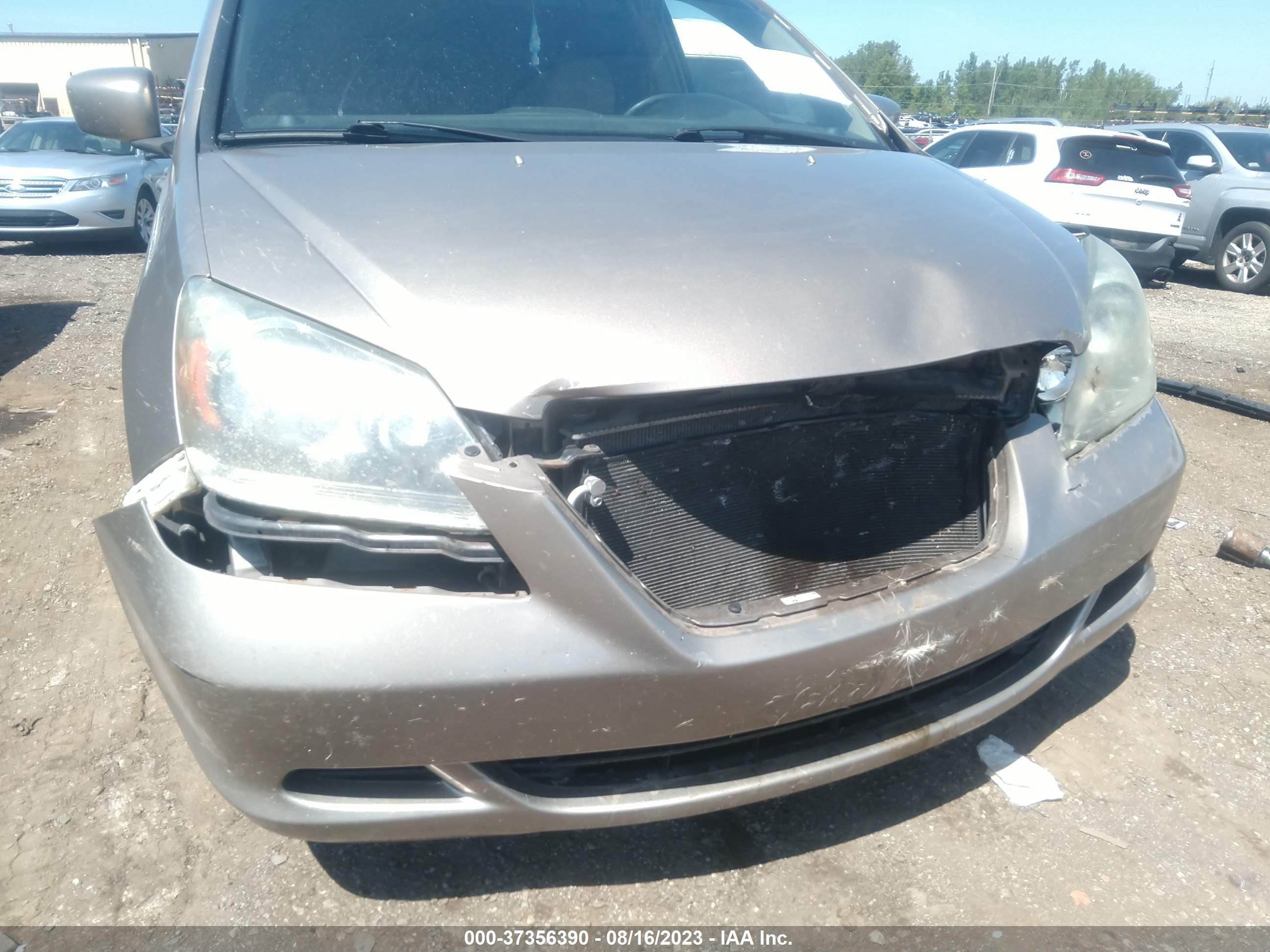 Photo 5 VIN: 5FNRL384X6B036599 - HONDA ODYSSEY 