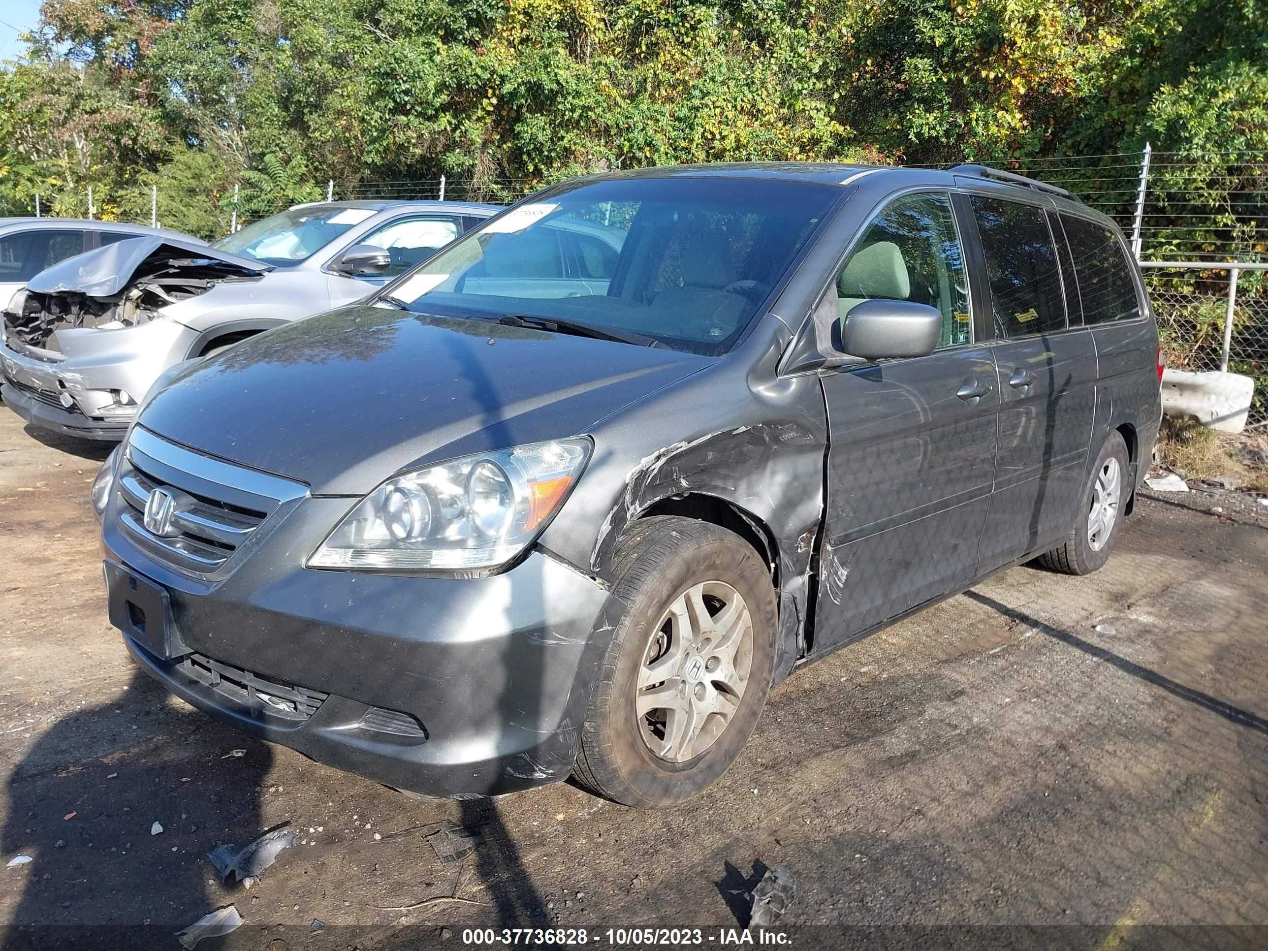 Photo 1 VIN: 5FNRL384X7B410419 - HONDA ODYSSEY 