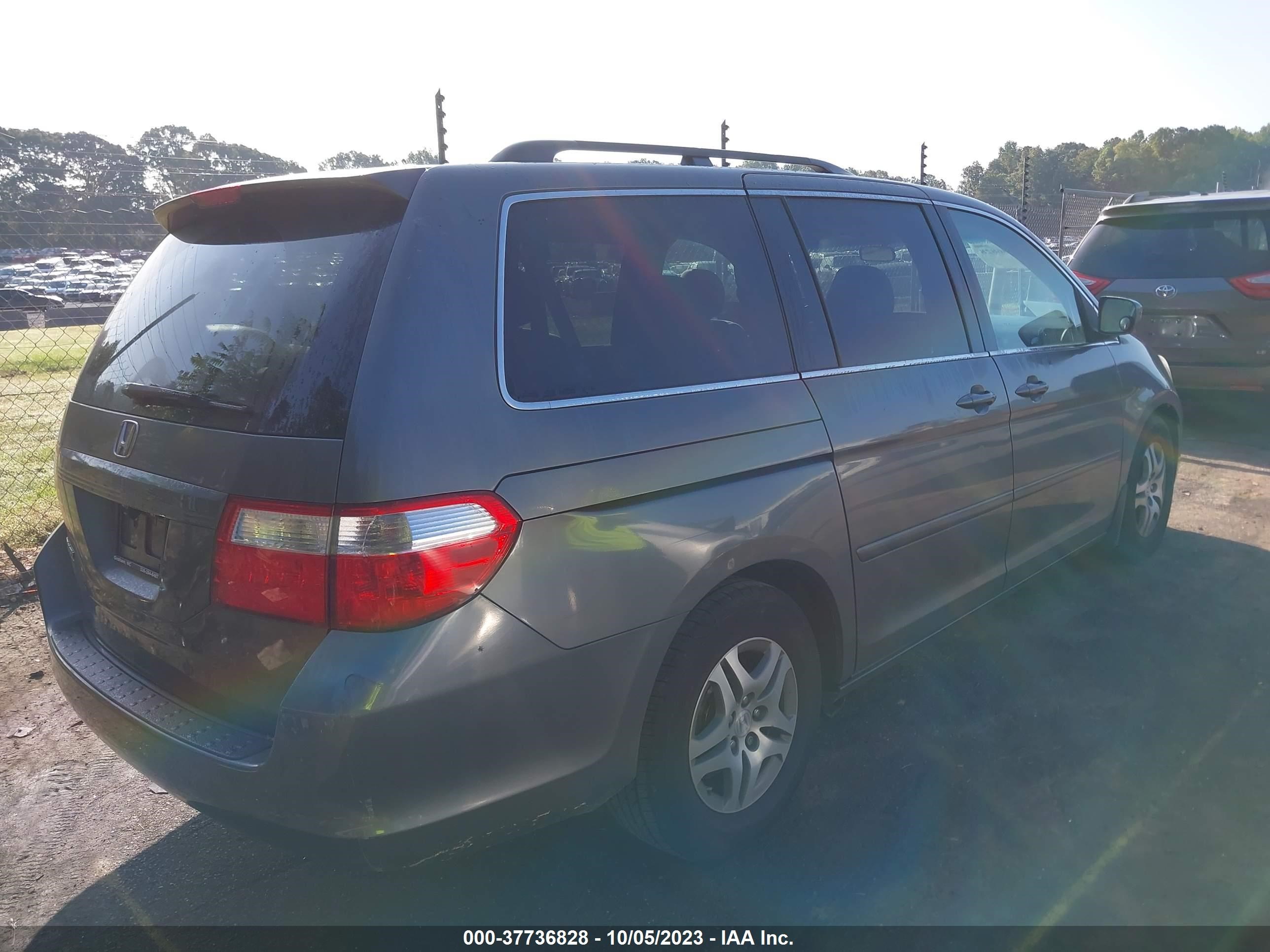 Photo 3 VIN: 5FNRL384X7B410419 - HONDA ODYSSEY 