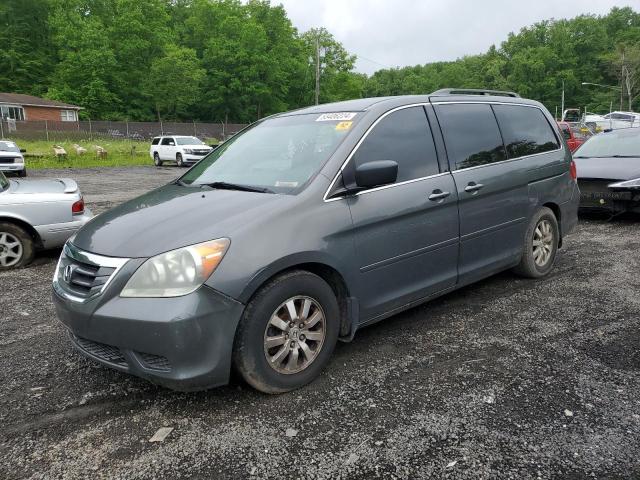 Photo 0 VIN: 5FNRL384X8B079469 - HONDA ODYSSEY EX 