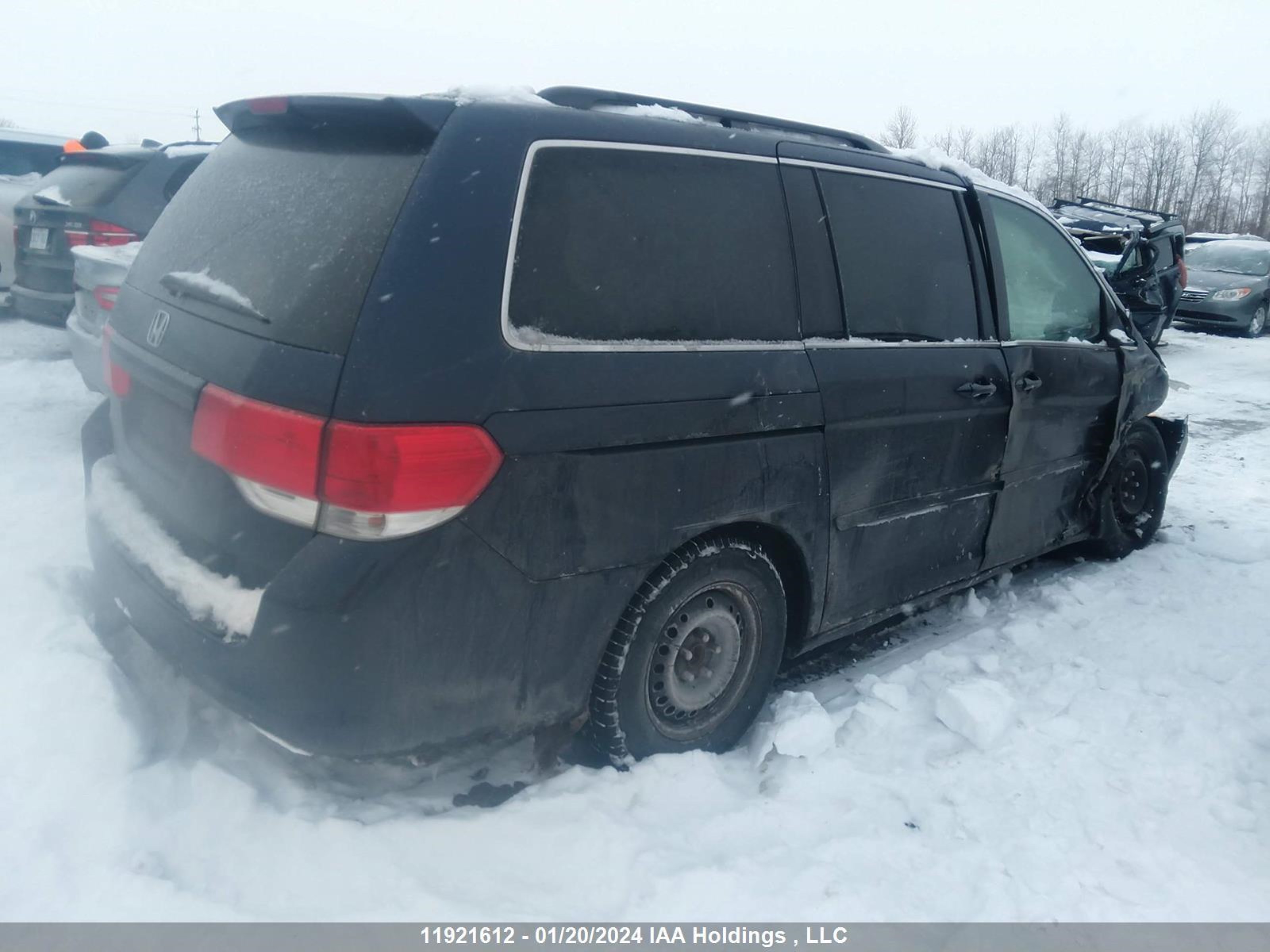 Photo 3 VIN: 5FNRL384X8B507251 - HONDA ODYSSEY 