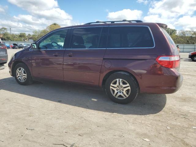 Photo 1 VIN: 5FNRL38607B422774 - HONDA ODYSSEY EX 