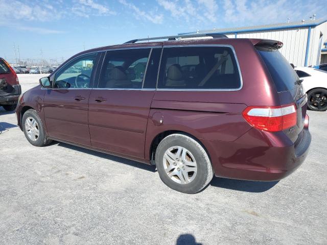 Photo 1 VIN: 5FNRL38607B453202 - HONDA ODYSSEY EX 