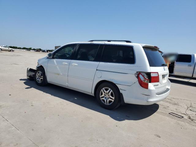 Photo 1 VIN: 5FNRL38607B453538 - HONDA ODYSSEY EX 