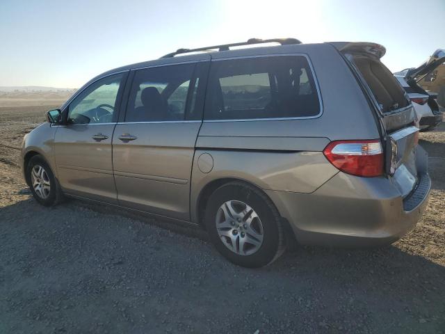 Photo 1 VIN: 5FNRL38615B054568 - HONDA ODYSSEY EX 