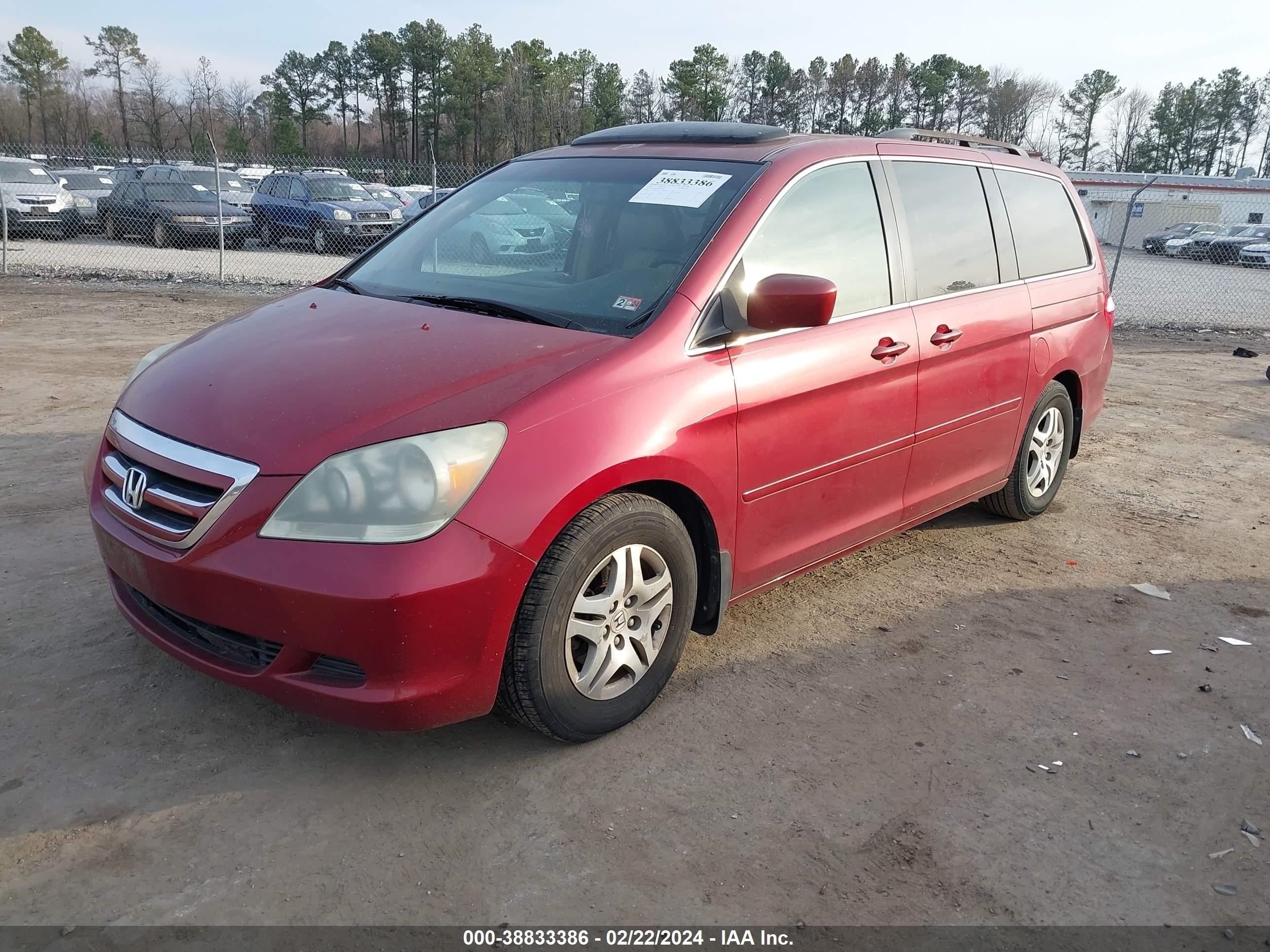 Photo 1 VIN: 5FNRL38615B088624 - HONDA ODYSSEY 