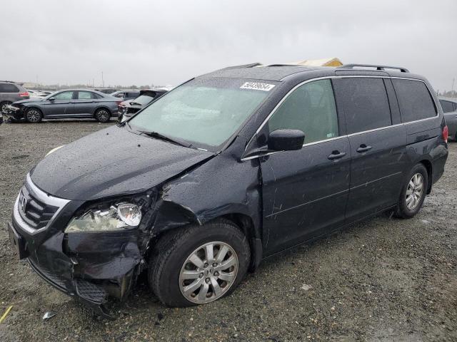 Photo 0 VIN: 5FNRL38618B054946 - HONDA ODYSSEY EX 