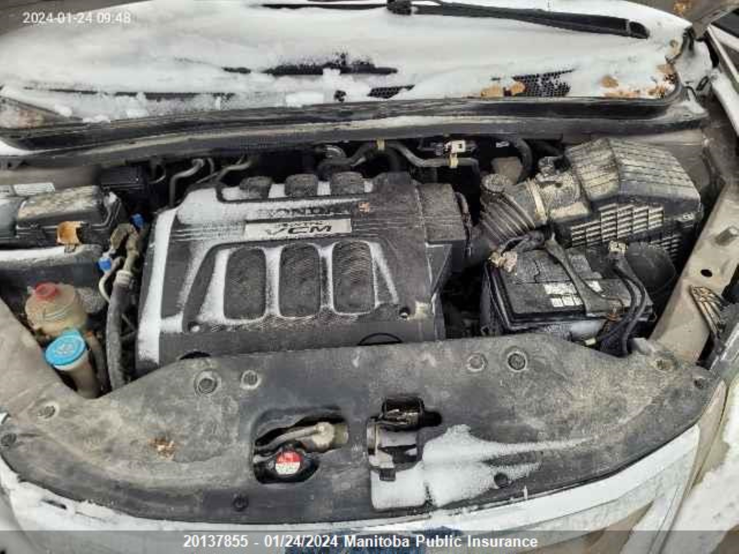 Photo 9 VIN: 5FNRL38618B509200 - HONDA ODYSSEY 