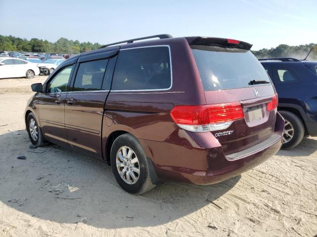 Photo 1 VIN: 5FNRL38629B030009 - HONDA ODYSSEY EX 