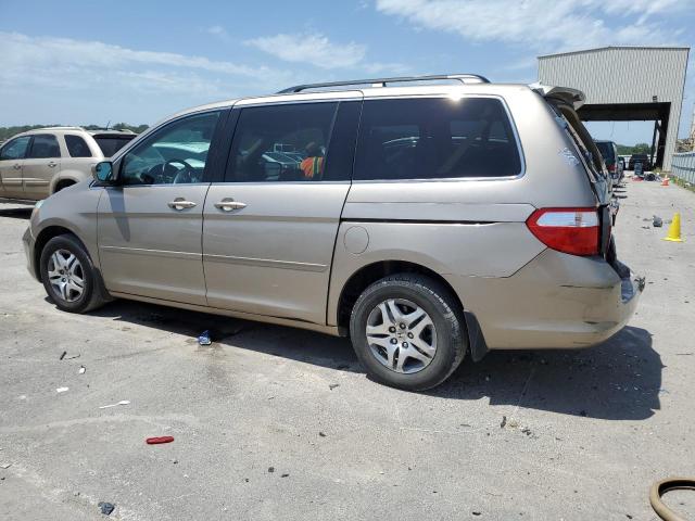 Photo 1 VIN: 5FNRL38637B429394 - HONDA ODYSSEY EX 