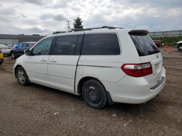 Photo 1 VIN: 5FNRL38637B450438 - HONDA ODYSSEY EX 