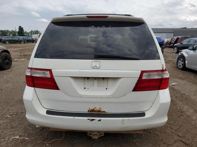 Photo 5 VIN: 5FNRL38637B450438 - HONDA ODYSSEY EX 