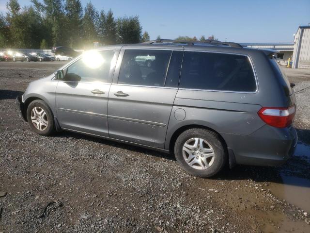 Photo 1 VIN: 5FNRL38637B462041 - HONDA ODYSSEY EX 