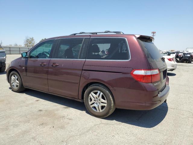 Photo 1 VIN: 5FNRL38647B419294 - HONDA ODYSSEY EX 