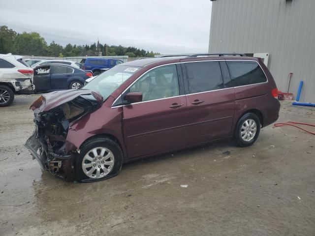 Photo 0 VIN: 5FNRL38648B080442 - HONDA ODYSSEY EX 