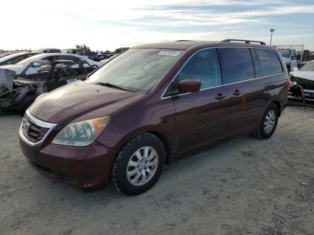 Photo 0 VIN: 5FNRL38648B419474 - HONDA ODYSSEY EX 