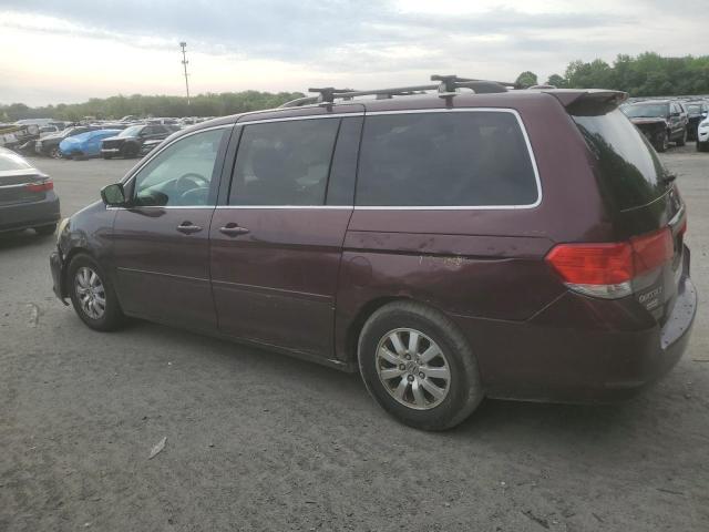 Photo 1 VIN: 5FNRL38649B028813 - HONDA ODYSSEY EX 