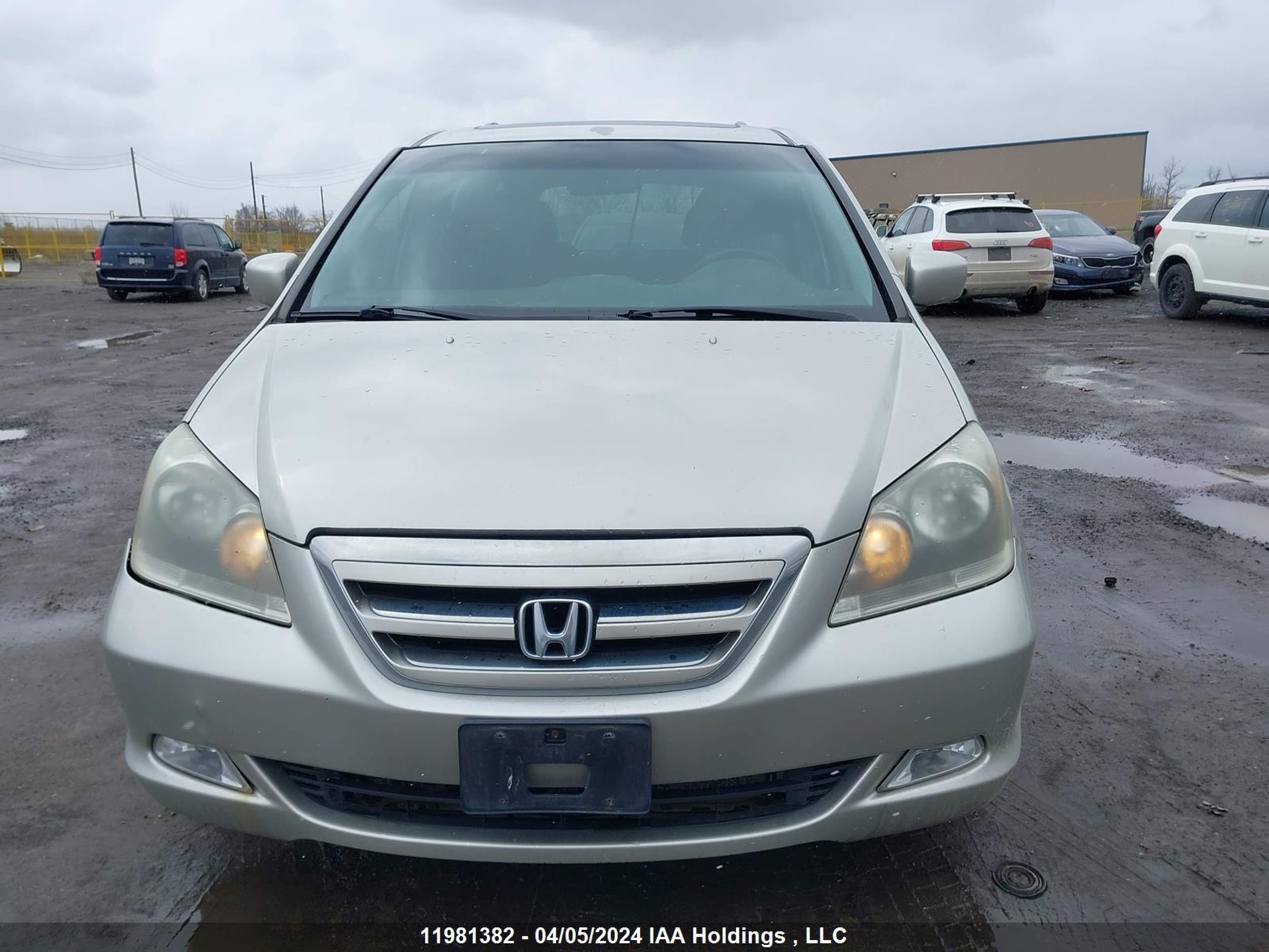 Photo 11 VIN: 5FNRL38656B510220 - HONDA ODYSSEY 