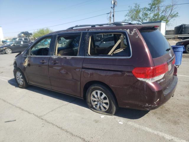 Photo 1 VIN: 5FNRL38659B004018 - HONDA ODYSSEY EX 