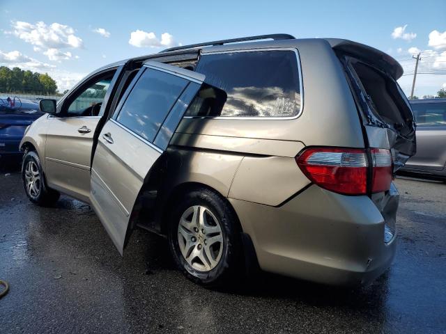 Photo 1 VIN: 5FNRL38667B437456 - HONDA ODYSSEY EX 