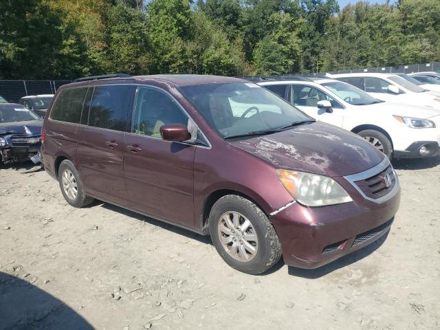 Photo 3 VIN: 5FNRL38668B004477 - HONDA ODYSSEY EX 