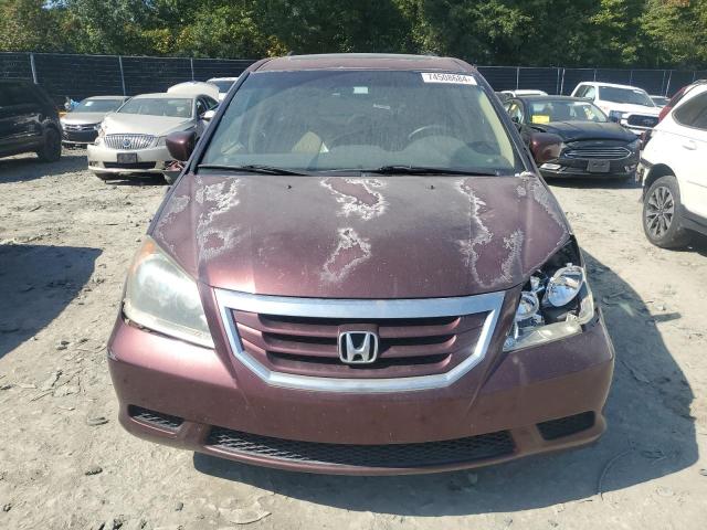 Photo 4 VIN: 5FNRL38668B004477 - HONDA ODYSSEY EX 