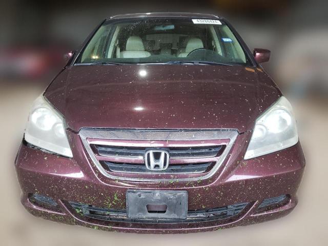 Photo 4 VIN: 5FNRL38677B033503 - HONDA ODYSSEY EX 