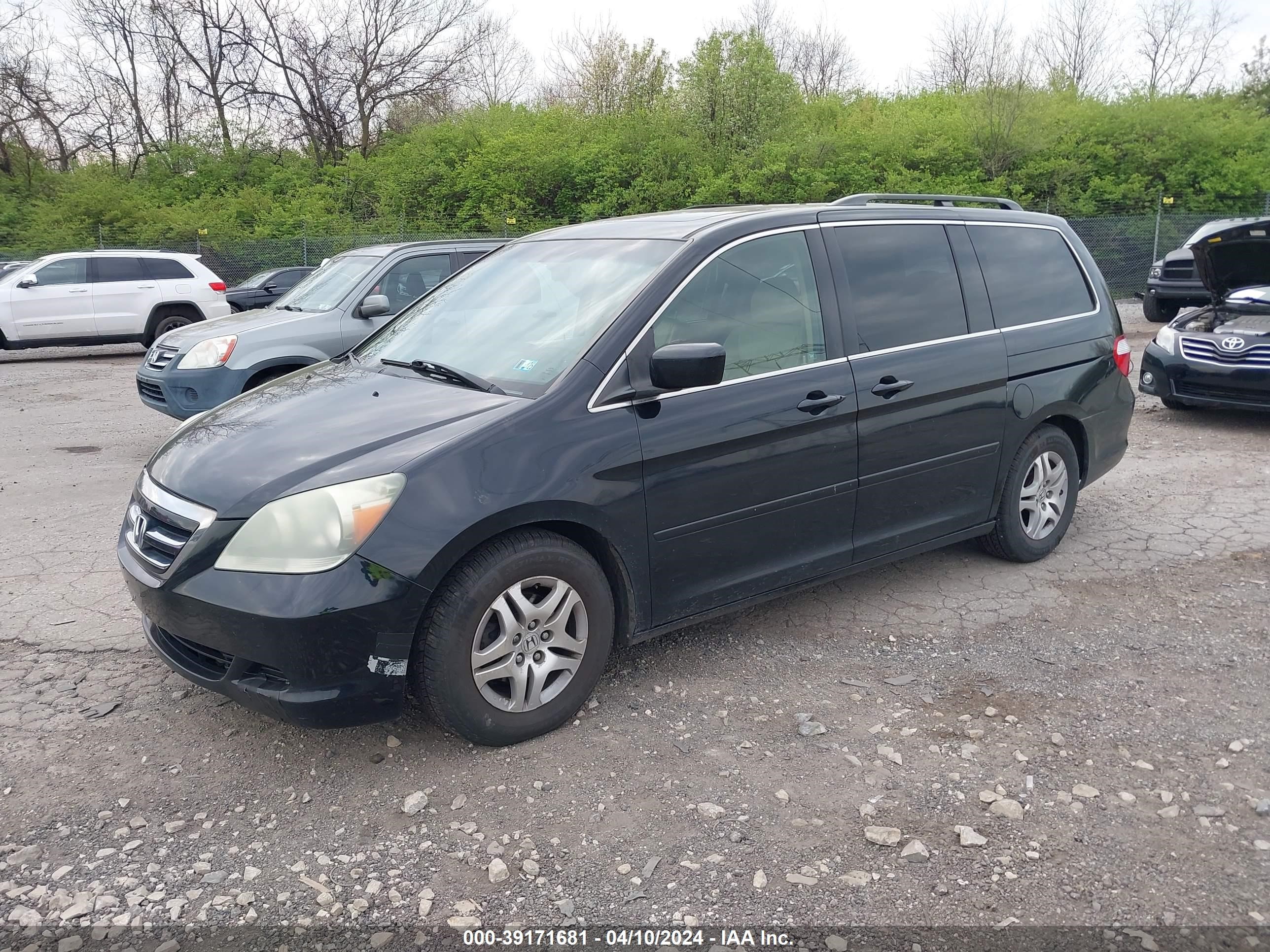 Photo 1 VIN: 5FNRL38677B117028 - HONDA ODYSSEY 