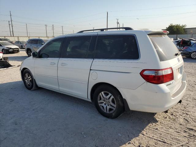 Photo 1 VIN: 5FNRL38677B431519 - HONDA ODYSSEY EX 