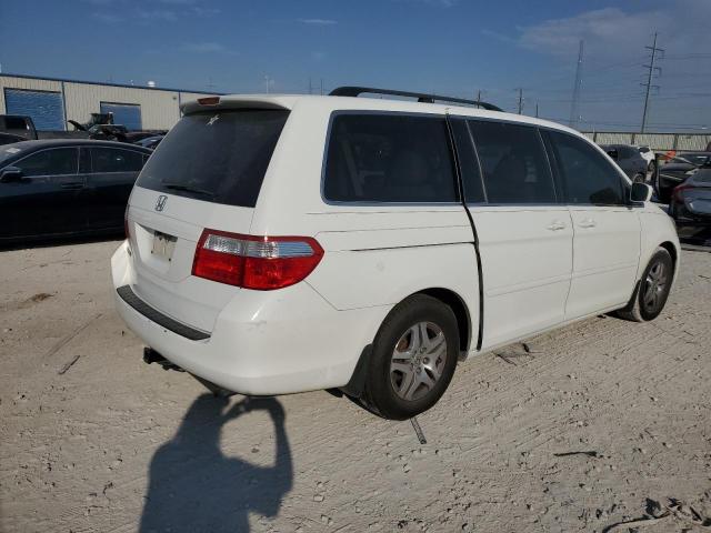 Photo 2 VIN: 5FNRL38677B431519 - HONDA ODYSSEY EX 