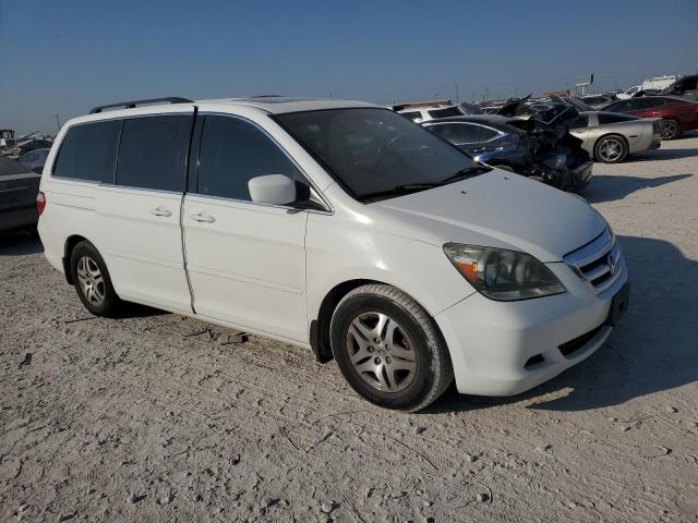 Photo 3 VIN: 5FNRL38677B431519 - HONDA ODYSSEY EX 