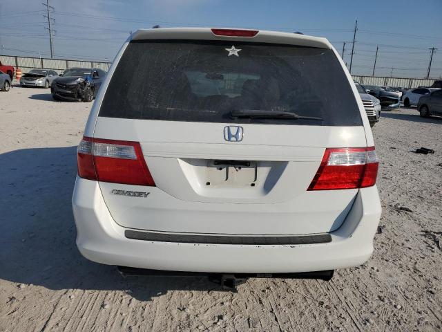 Photo 5 VIN: 5FNRL38677B431519 - HONDA ODYSSEY EX 