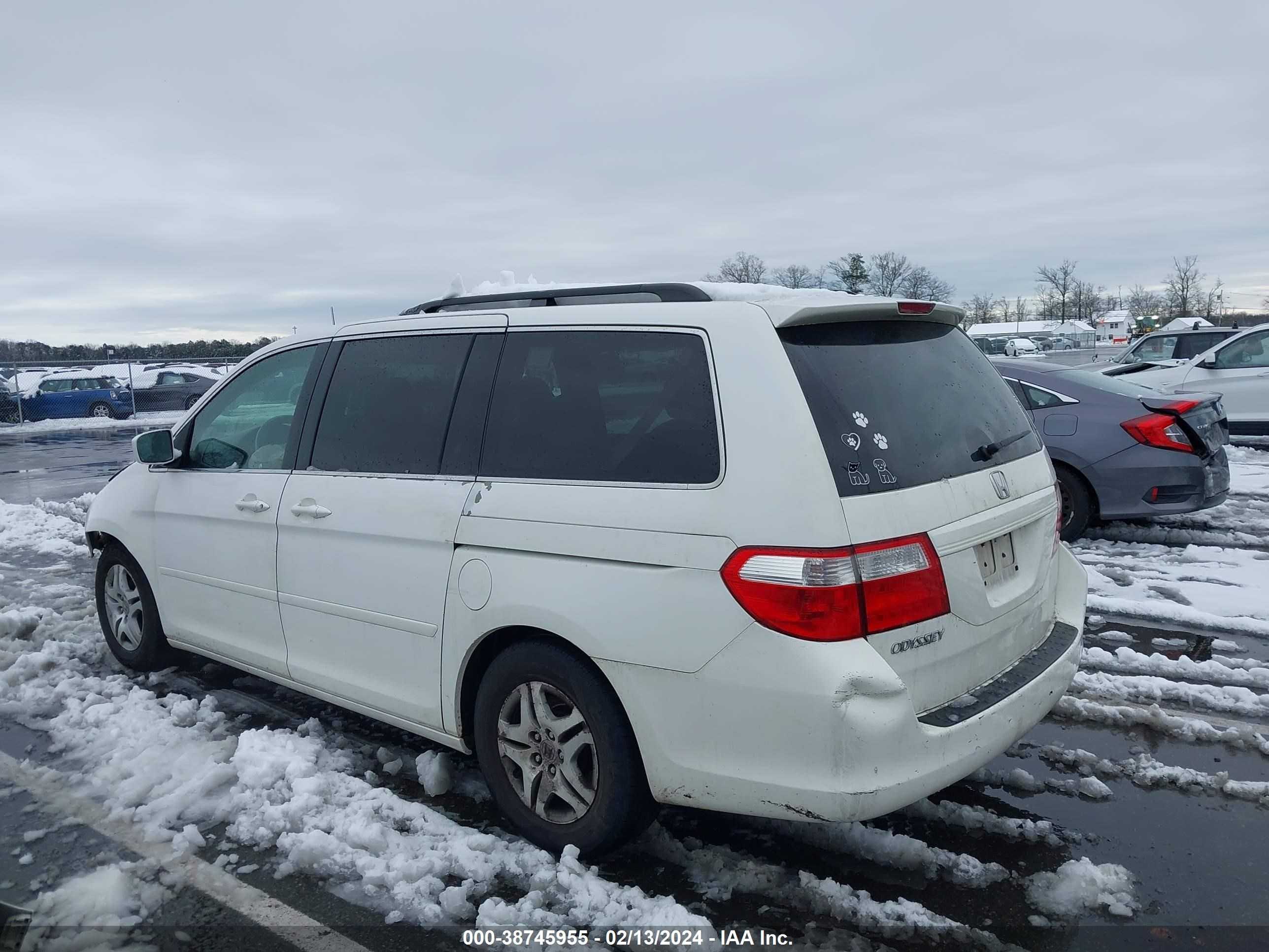 Photo 14 VIN: 5FNRL38677B435747 - HONDA ODYSSEY 