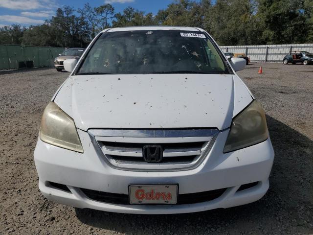 Photo 4 VIN: 5FNRL38677B450426 - HONDA ODYSSEY EX 