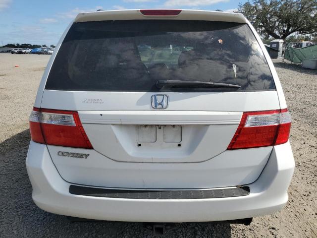 Photo 5 VIN: 5FNRL38677B450426 - HONDA ODYSSEY EX 