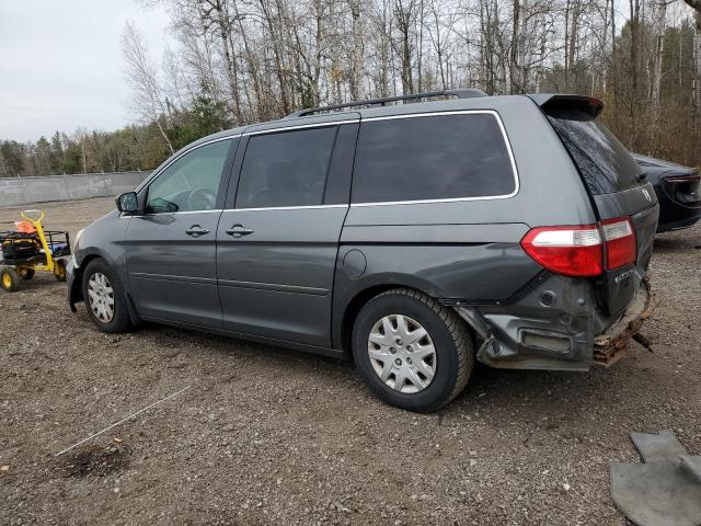 Photo 1 VIN: 5FNRL38677B501665 - HONDA ODYSSEY EX 