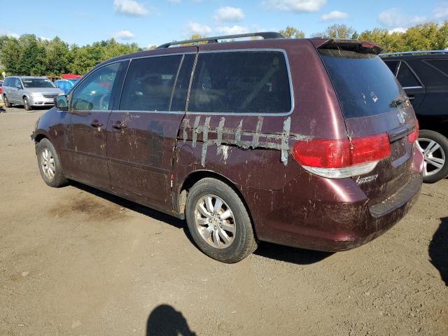 Photo 1 VIN: 5FNRL38678B004469 - HONDA ODYSSEY EX 