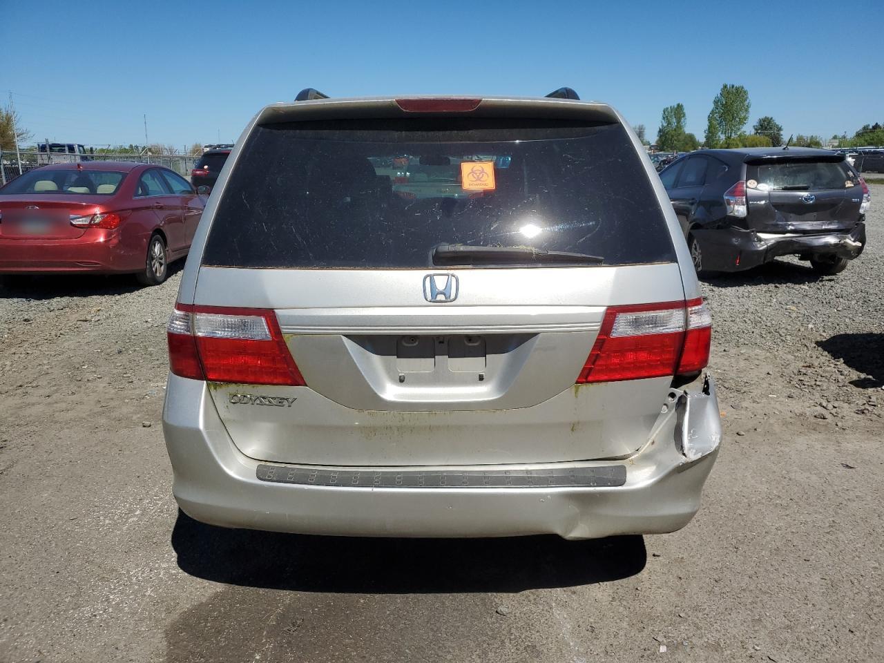 Photo 5 VIN: 5FNRL38687B039231 - HONDA ODYSSEY 