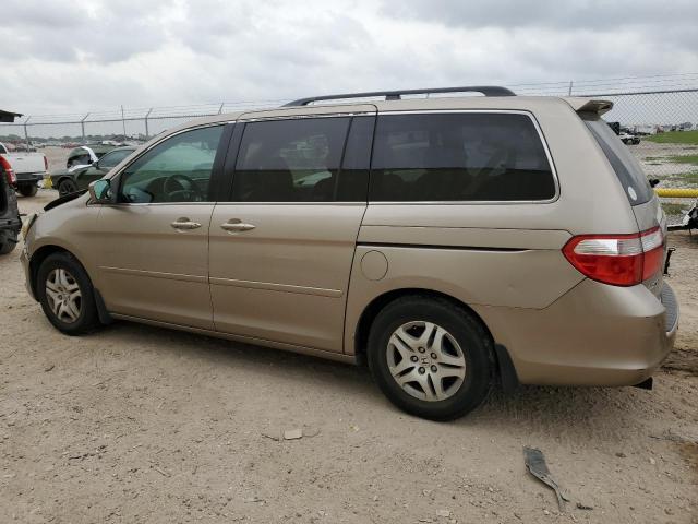 Photo 1 VIN: 5FNRL38687B096710 - HONDA ODYSSEY EX 