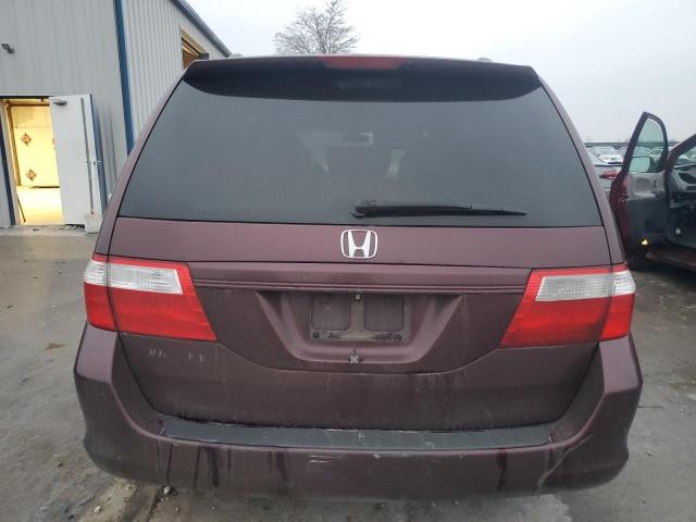 Photo 5 VIN: 5FNRL38687B415507 - HONDA ODYSSEY EX 