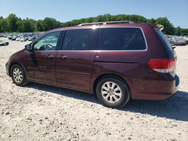 Photo 1 VIN: 5FNRL38688B402046 - HONDA ODYSSEY EX 