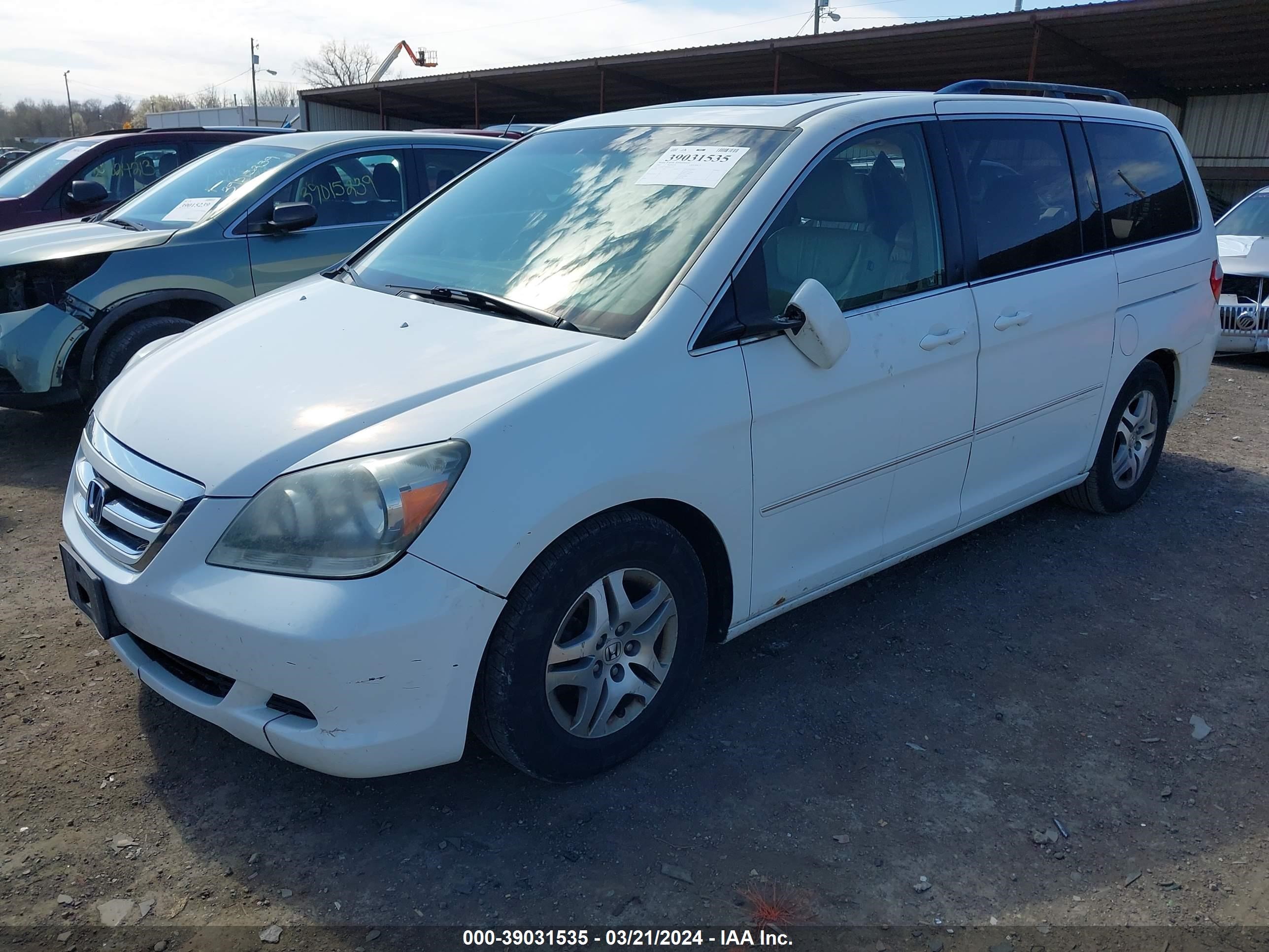 Photo 1 VIN: 5FNRL38695B412354 - HONDA ODYSSEY 