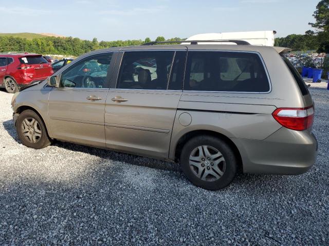 Photo 1 VIN: 5FNRL38697B432249 - HONDA ODYSSEY EX 