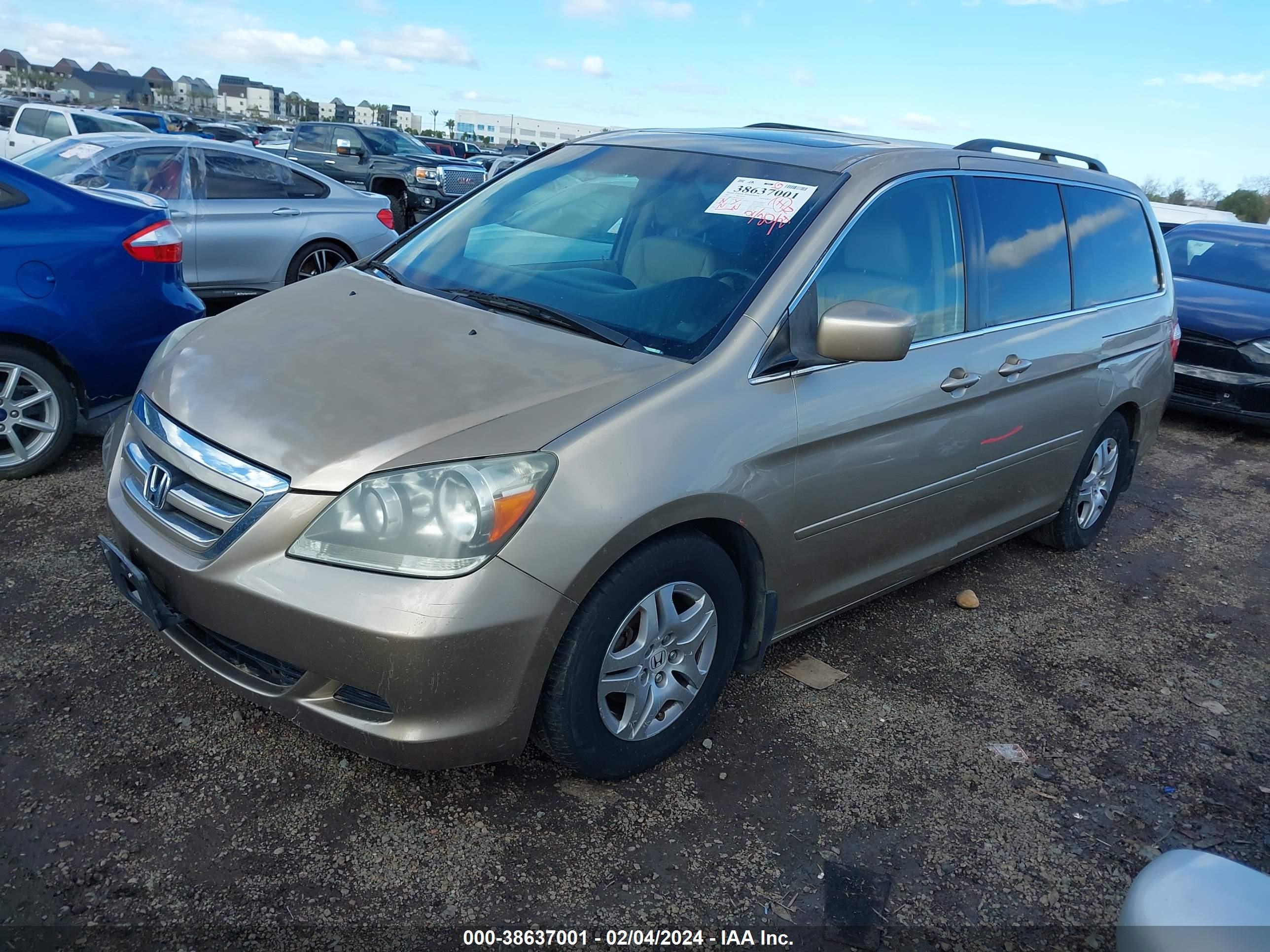 Photo 1 VIN: 5FNRL38697B445387 - HONDA ODYSSEY 