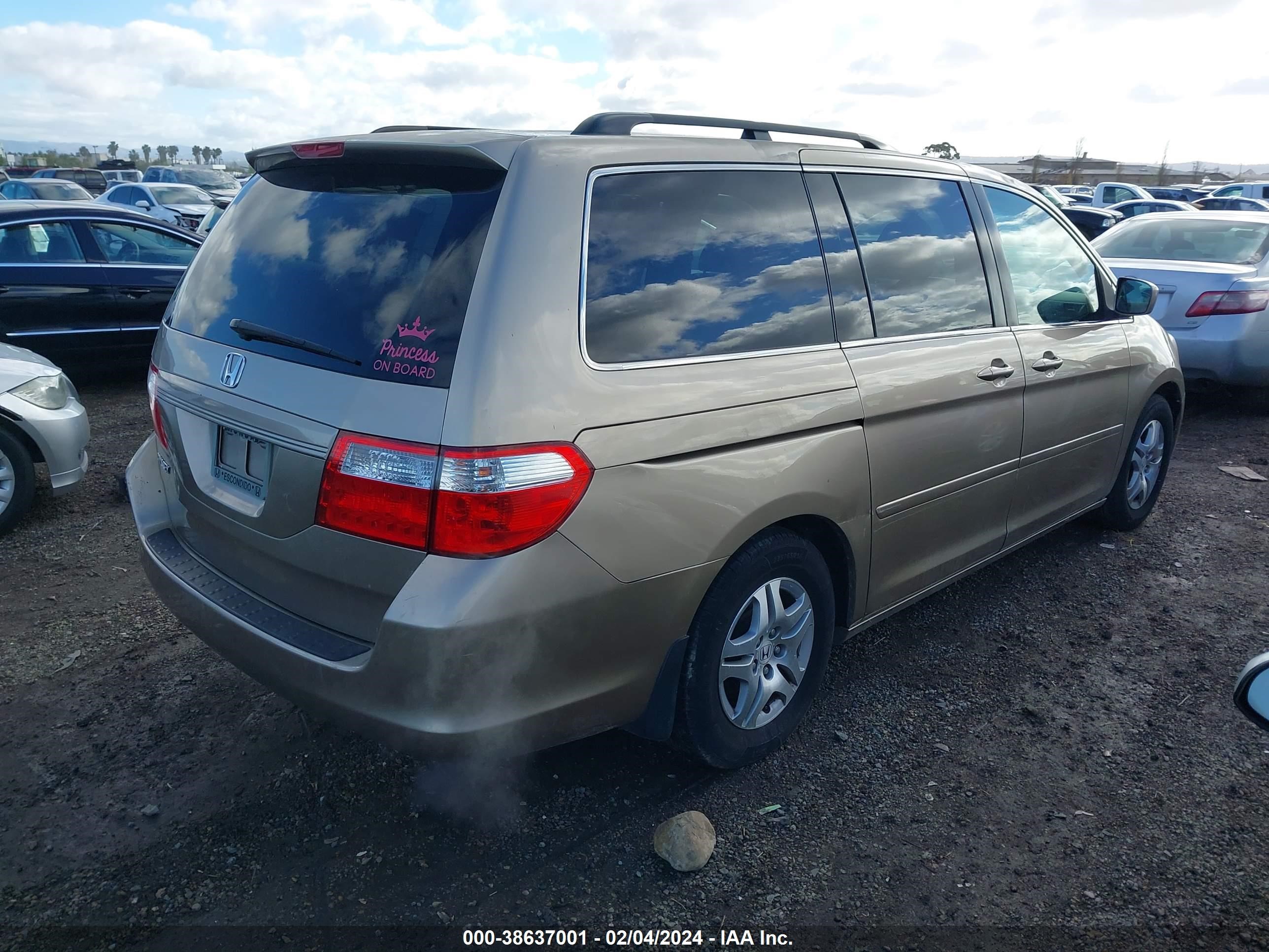 Photo 3 VIN: 5FNRL38697B445387 - HONDA ODYSSEY 